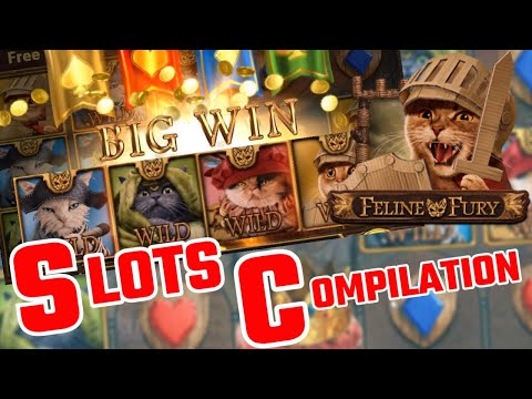 SLOTS Bonus Compilation – Slots Include: Bonanza Megaways, Feline Fury BIG WIN, Book Of Dead + more