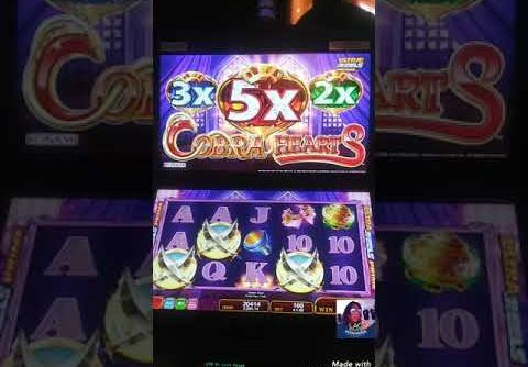 🐍❤️ Cobra hearts slot Cobra hearts slot big wins $1 bet