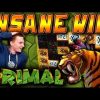 INSANE WIN on Primal Slot – £3 Bet