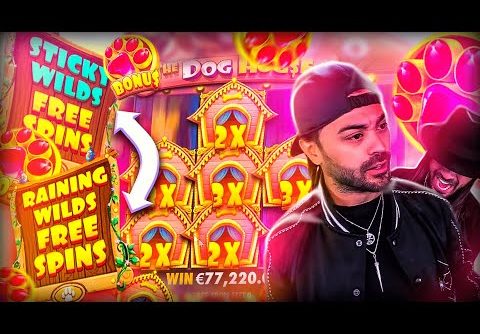 ROSHTEIN Insane Win 80.000€ on The Dog House Slot – TOP 5 Mega wins of the week