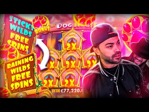 ROSHTEIN Insane Win 80.000€ on The Dog House Slot – TOP 5 Mega wins of the week