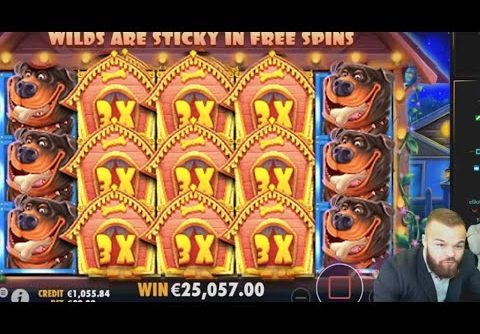 The Dog House MEGA WIN – Biggest Casino Slot Win by ClassyBeef