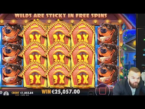 The Dog House MEGA WIN – Biggest Casino Slot Win by ClassyBeef