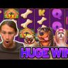 HUGE WIN!!! DOG HOUSE MEGAWAYS BIG WIN – €5 bet on Casino slot from CasinoDaddys stream