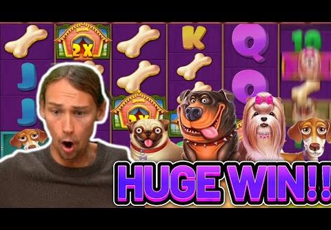 HUGE WIN!!! DOG HOUSE MEGAWAYS BIG WIN – €5 bet on Casino slot from CasinoDaddys stream