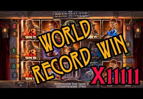 WORLD RECORD WIN on DEAD OR ALIVE 2 Slot machine