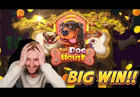 BIG WIN! DOG HOUSE BIG WIN – CASINO Slot from CasinoDaddys LIVE STREAM (OLD WIN)