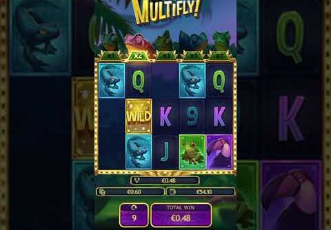 MEGA WIN!! New Multifly slot!