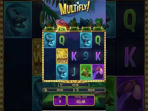 MEGA WIN!! New Multifly slot!