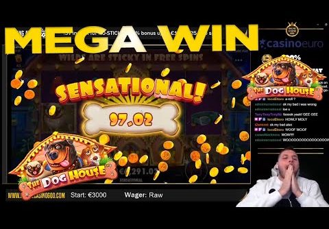 SUPER MEGA WIN on €20! The Dog House Slot Big Win from OnlineCasinoGod live stream on twitch!