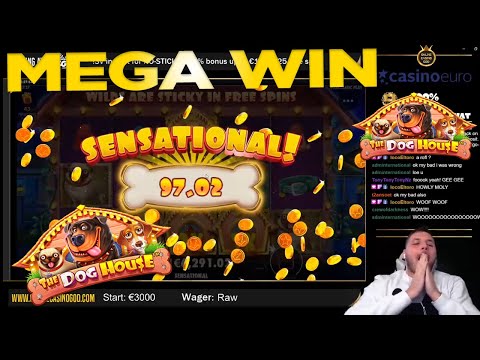 SUPER MEGA WIN on €20! The Dog House Slot Big Win from OnlineCasinoGod live stream on twitch!