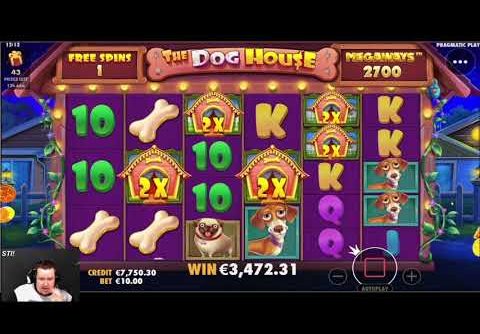 NEW RECORD WIN ON The Dog House Megaways ONLINE SLOT | Best wins of the week casino