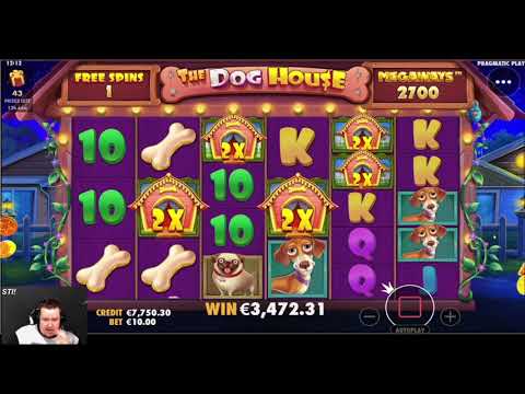 NEW RECORD WIN ON The Dog House Megaways ONLINE SLOT | Best wins of the week casino