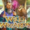 Big win on Wild Wizards (RTG slot)