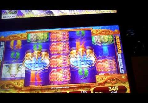 White Cats Slot Machine Line Hit And Bonus(2) SUPER BIG Win