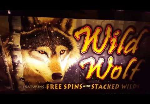 Wild Wolf Slots Machine Multiple Bonuses and Big Win!!