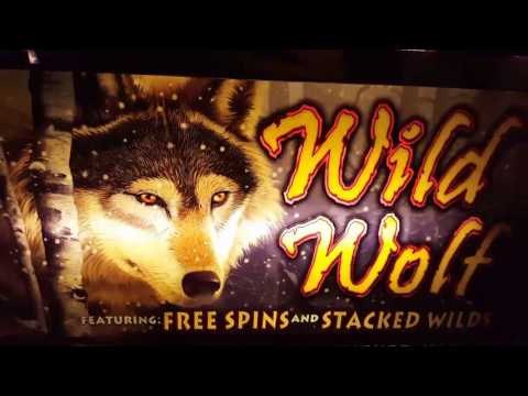 Wild Wolf Slots Machine Multiple Bonuses and Big Win!!