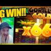 INSANE MULTIPLIER ON GORILLA GOLD MEGAWAYS!! Huge Slot Win!