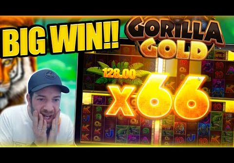 INSANE MULTIPLIER ON GORILLA GOLD MEGAWAYS!! Huge Slot Win!
