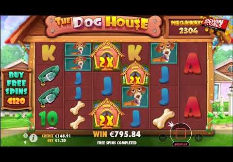 The Dog House Megaways – Raining Wilds MEGA WIN!