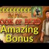 Crazy Book of Dead Online Slot Bonus Mega Win