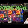 MEGA WIN LA “THE DOG HOUSE” ! Aparate Pacanele Slots