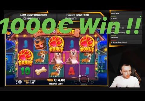 MEGA WIN LA “THE DOG HOUSE” ! Aparate Pacanele Slots