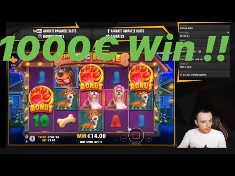 MEGA WIN LA “THE DOG HOUSE” ! Aparate Pacanele Slots