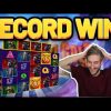 RECORD WIN! Safari Gold BIG WIN – Online Slots from Casinodaddys live stream