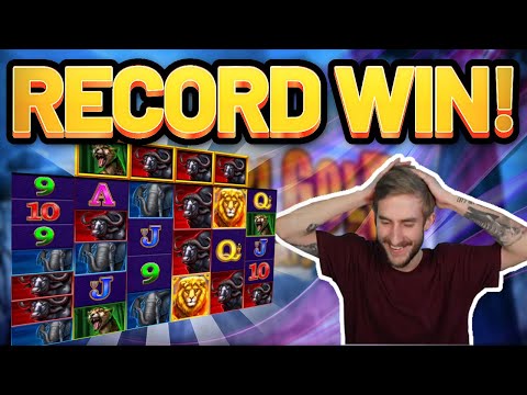 RECORD WIN! Safari Gold BIG WIN – Online Slots from Casinodaddys live stream