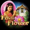 Big win thai flower  slot double bonus