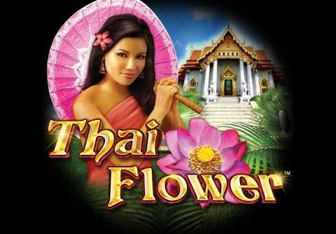 Big win thai flower  slot double bonus