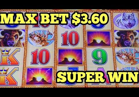 ***BUFFALO GOLD $3.60 SUPER BIG WIN*** MORE Big Win Bonus POMPEII | CATS HATS BATS | GOLDEN PRINCESS