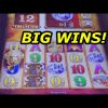 BUFFALO GOLD: Max Bet Big Wins – slot machine bonus wins