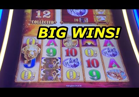 BUFFALO GOLD: Max Bet Big Wins – slot machine bonus wins