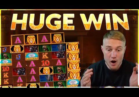 HUGE WIN!! Safari Gold BIG WIN  – Online slot from Casinodaddy LIVE Stream