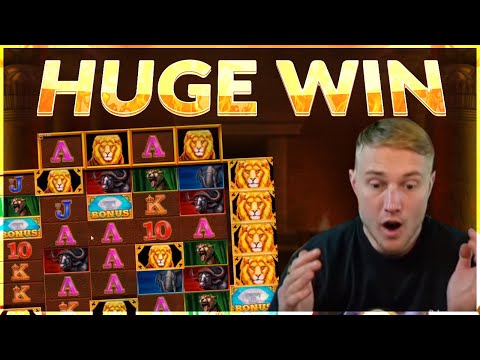 HUGE WIN!! Safari Gold BIG WIN  – Online slot from Casinodaddy LIVE Stream