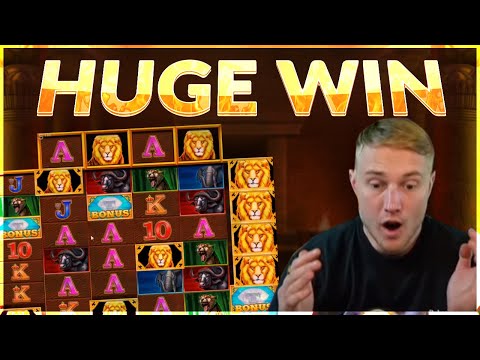 HUGE WIN!! Safari Gold BIG WIN  – Online slot from Casinodaddy LIVE Stream