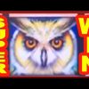 ** SUPER BIG WIN ** TIMBER WOLF n others ** SLOT LOVER **