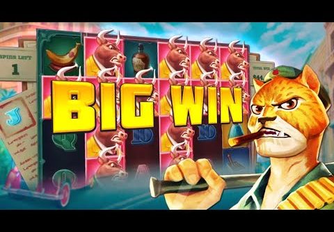 TOP 5 RECORD WINS OF THE WEEK – SLOT MACHINE – MEGA WIN over 3214x