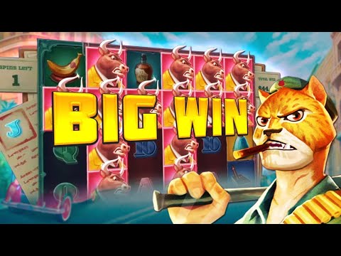 TOP 5 RECORD WINS OF THE WEEK – SLOT MACHINE – MEGA WIN over 3214x