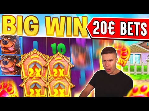 17 SPINS FOR A GOOD SETUP – DOG HOUSE BONUS 🎰 BIG WIN ON PRAGMATIC PLAY ONLINE SLOT MACHINE