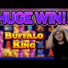 HUGE WIN!!!! BUFFALO KING BIG WIN –  Casino slot from Casinodaddy LIVE STREAM