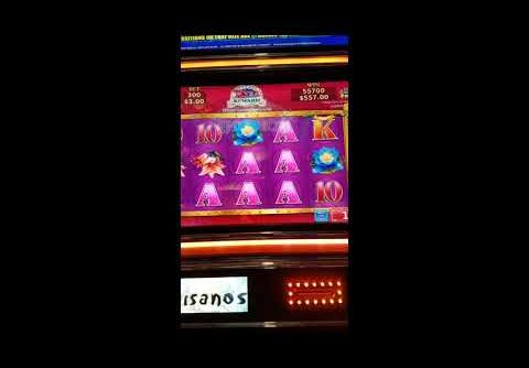 MEGA WINS AND HUGE WINS ON SOME AWESOME SLOTS AND A NICE HANDPAY JACKPOT!