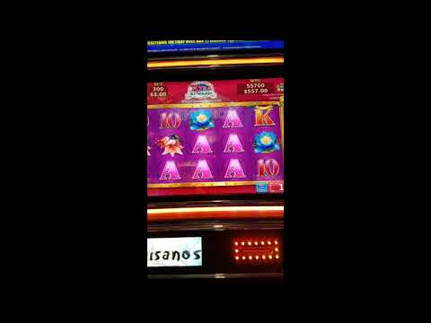 MEGA WINS AND HUGE WINS ON SOME AWESOME SLOTS AND A NICE HANDPAY JACKPOT!