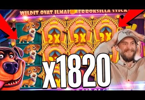 Streamer huge win  on The Dog House slot  –  TOP 5 Biggest wins of the week