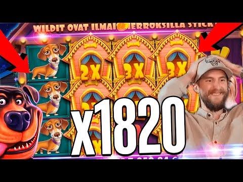 Streamer huge win  on The Dog House slot  –  TOP 5 Biggest wins of the week