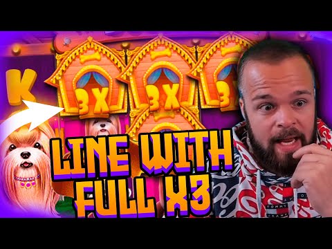 ClassyBeef Mega Win  on The Dog House slot – TOP 5 Biggest wins of the week