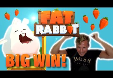 HUGE WIN! FAT RABBIT BIG WIN – CASINO Slot from CasinoDaddys LIVE STREAM (OLD WIN)
