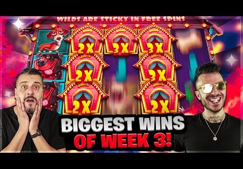BIGGEST WINS OF WEEK 3! | Record win on DOG HOUSE online slots